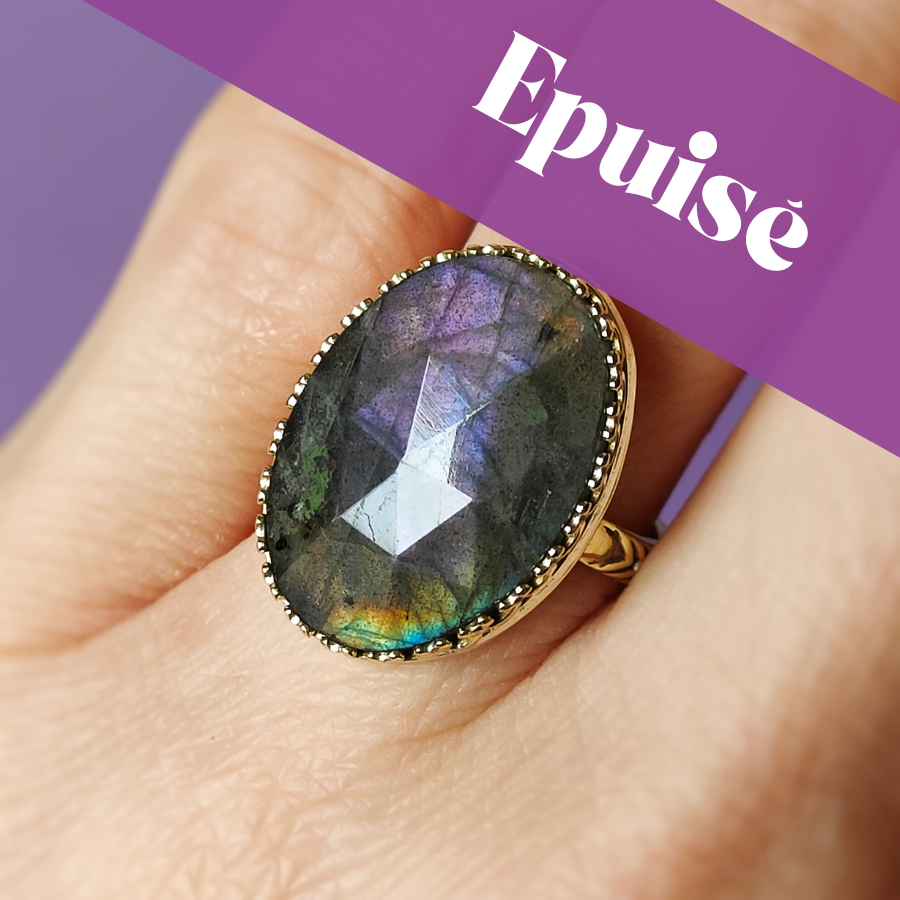 Bague Labradorite facettée • T 53